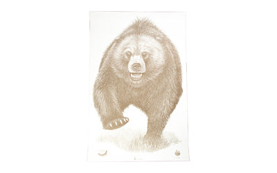 Action Target, Alaska State Parks Bear Target, 23"x35", 100 Per Box
