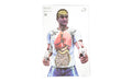 Action Target, Bag of Bones, Threat Target, Multi Color, 23"x35", 100 Per Box