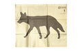 ATN Corp, Coyote Thermal Target, 30"x24", Kit Includes (1) Coyote Target, (1) Universal Thermal Target, (12) Pasters