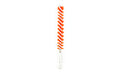 Birchwood Casey, Bore Brush, Stiff Nylon Construction, Fits Rifles in .25 Caliber, Red