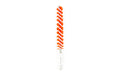 Birchwood Casey, Bore Brush, Stiff Nylon Construction, Fits Rifles in .284/7MM, Red