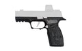 Icarus Precision, A.C.E. AXG, Grip Module, Fits Sig P365 X-Macro/XL, Aluminum Construction, Anodized Finish, Black, Hogue Black G10 Grip Panels